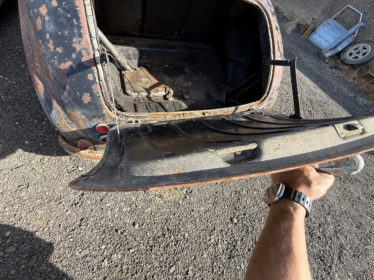 IMG_0473 – grande.jpeg