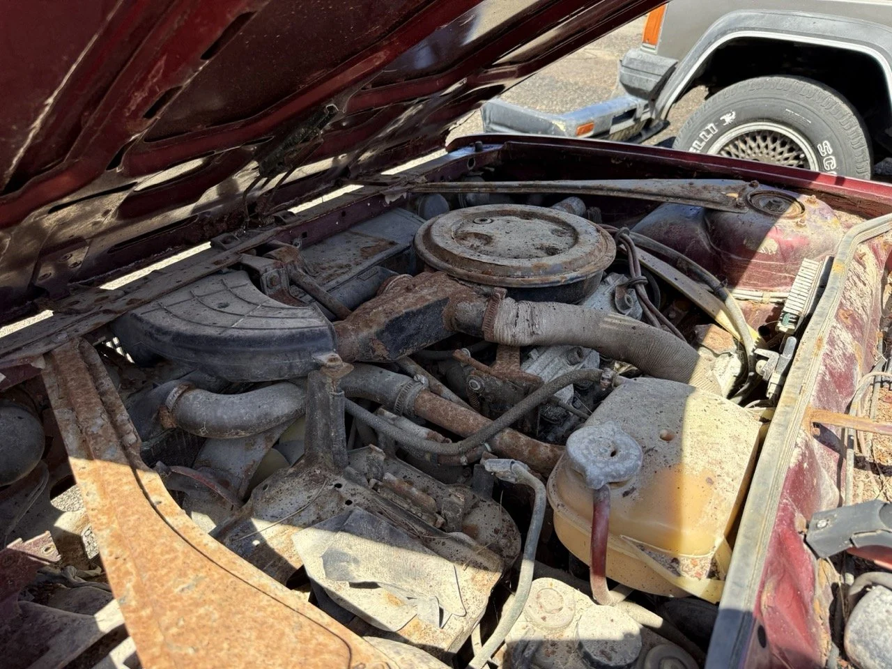 IMG_0917 – grande.jpeg