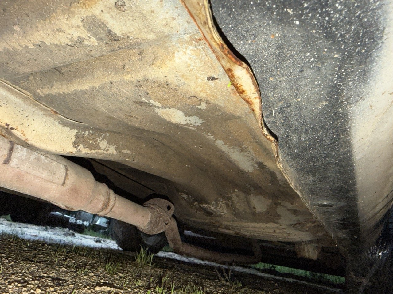 IMG_0204 – grande.jpeg