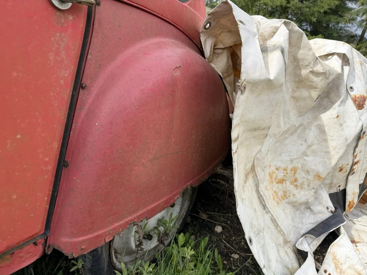 IMG_3878 – grande.jpeg