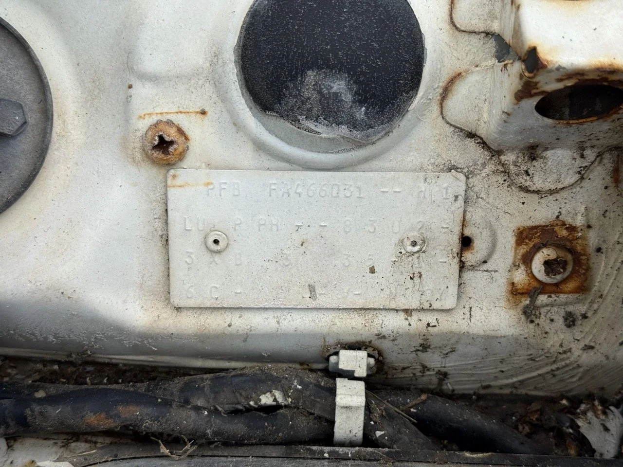 IMG_8550 – grande.jpeg