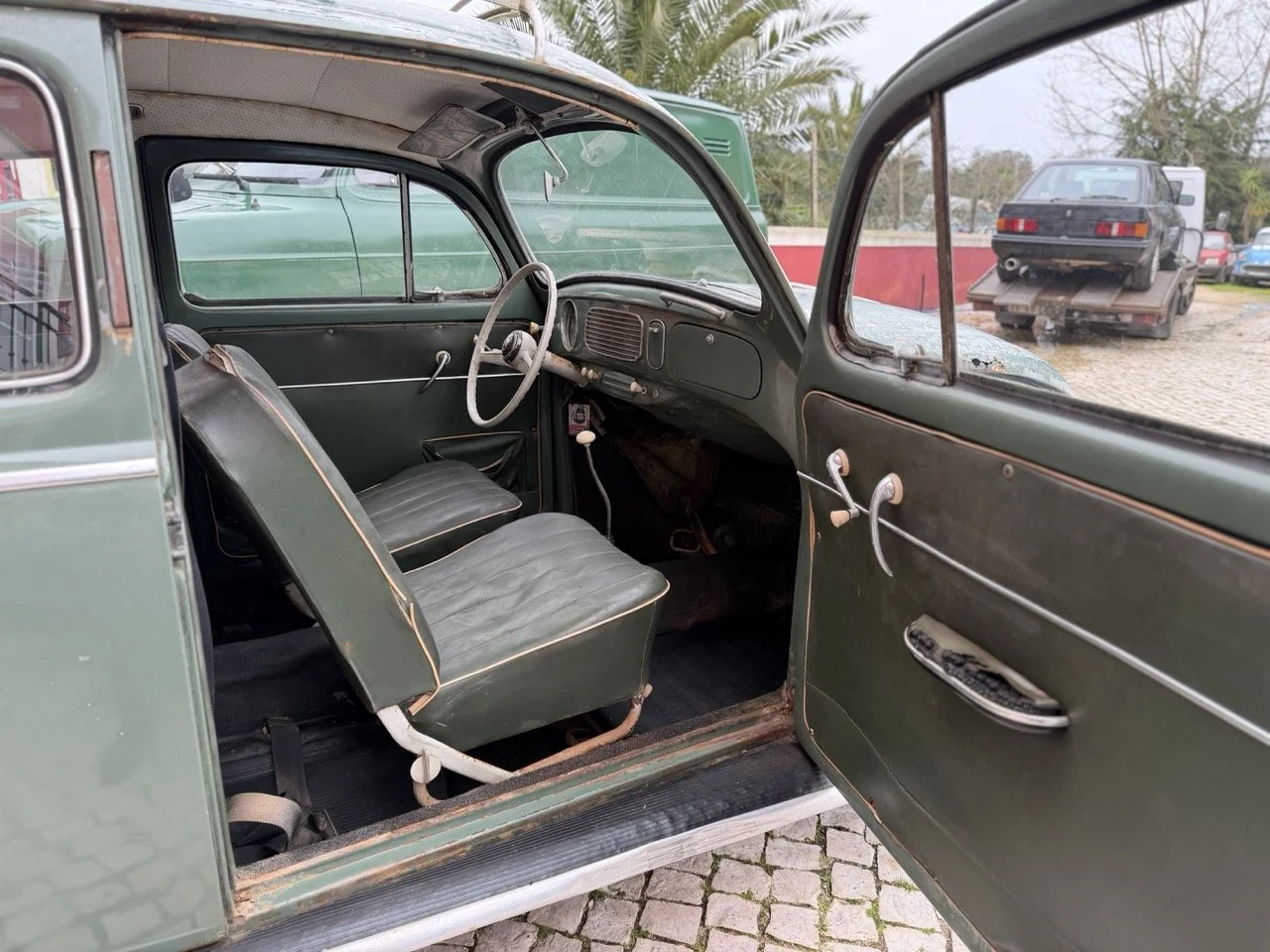 IMG_1137 – grande.jpeg