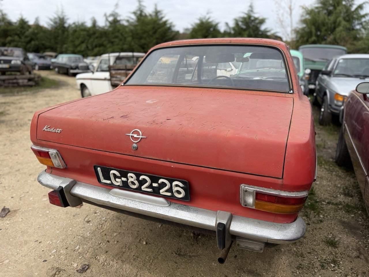 IMG_4969 – grande.jpeg