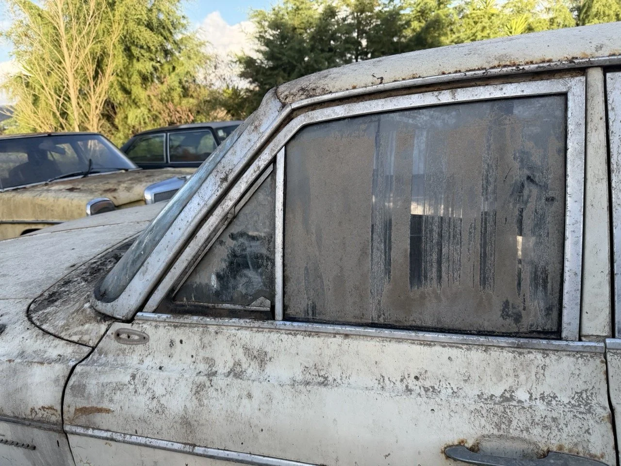 IMG_4074 – grande.jpeg