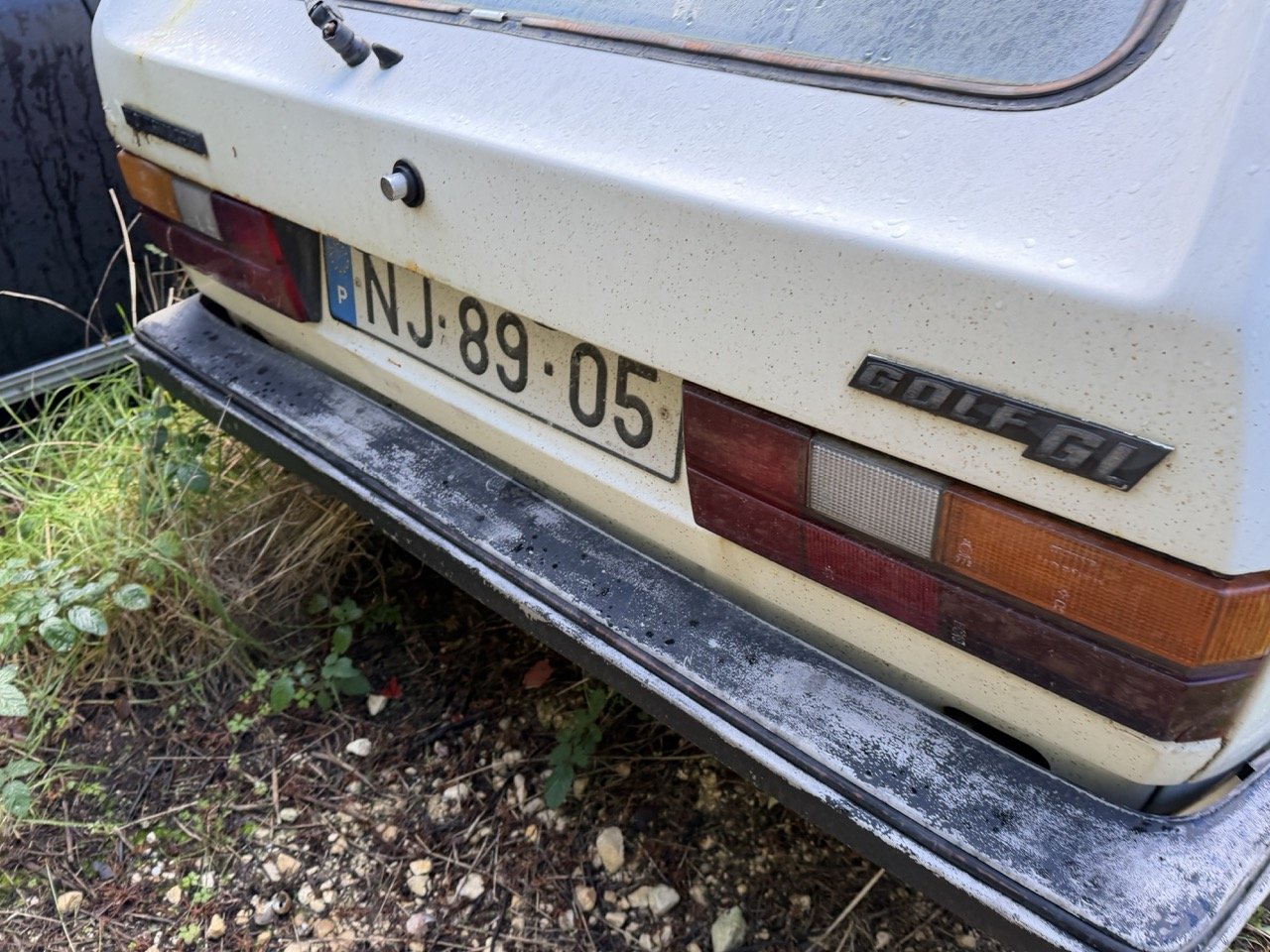 IMG_5193 – grande.jpeg