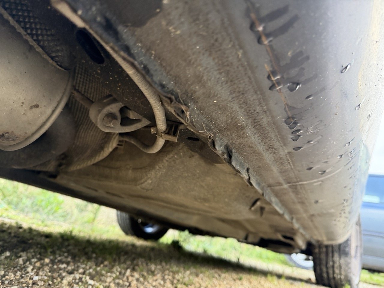 IMG_5330 – grande.jpeg