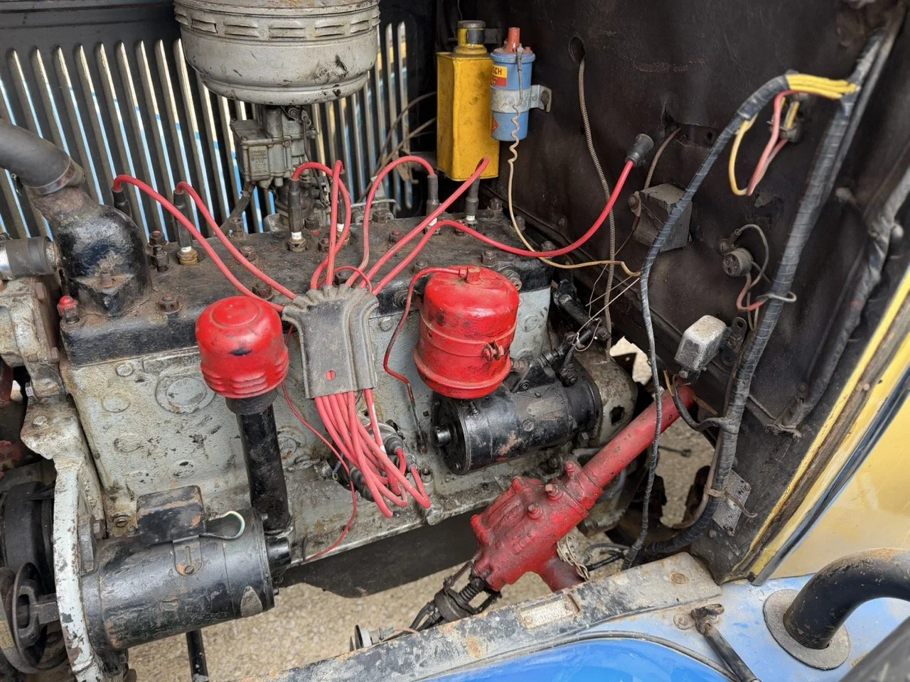 IMG_1544 – grande.jpeg