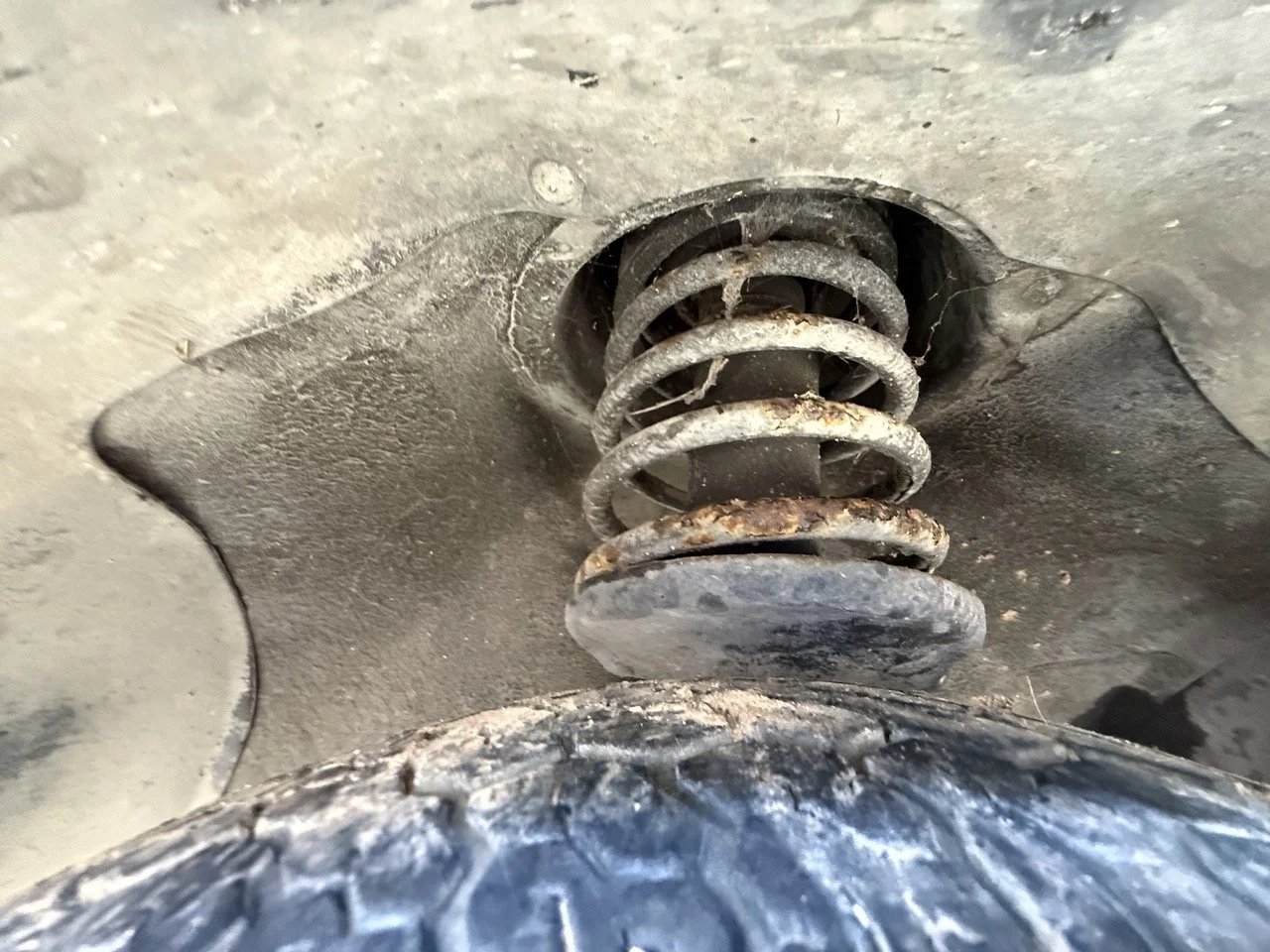 IMG_1242 – grande.jpeg