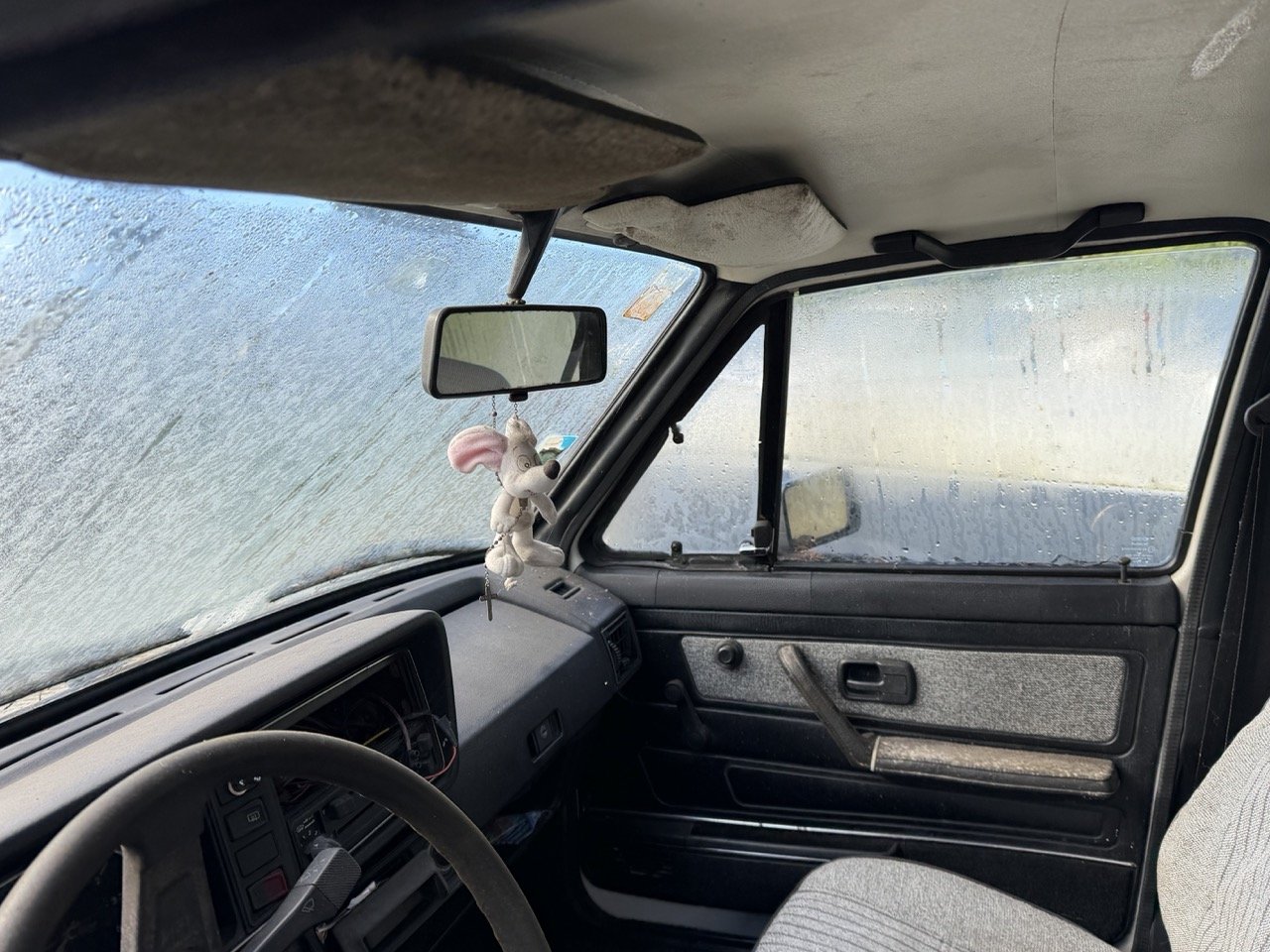 IMG_5179 – grande.jpeg