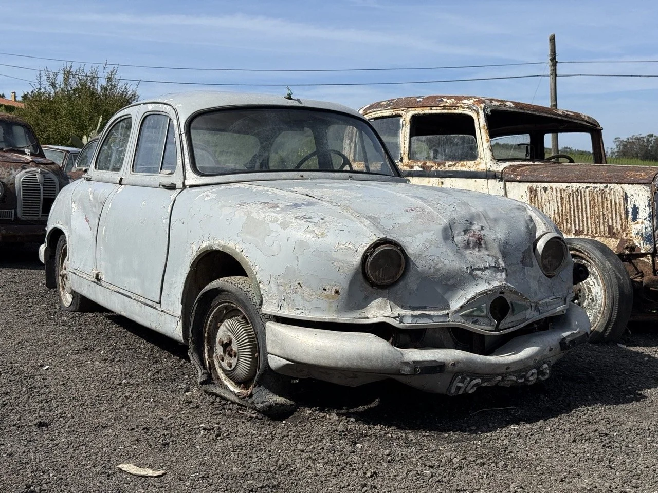 IMG_0314 – grande.jpeg