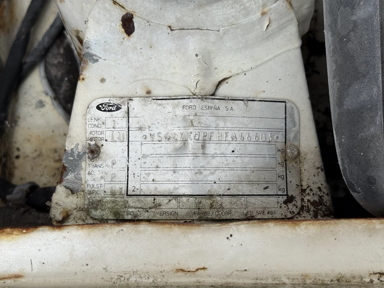 IMG_8549 – grande.jpeg