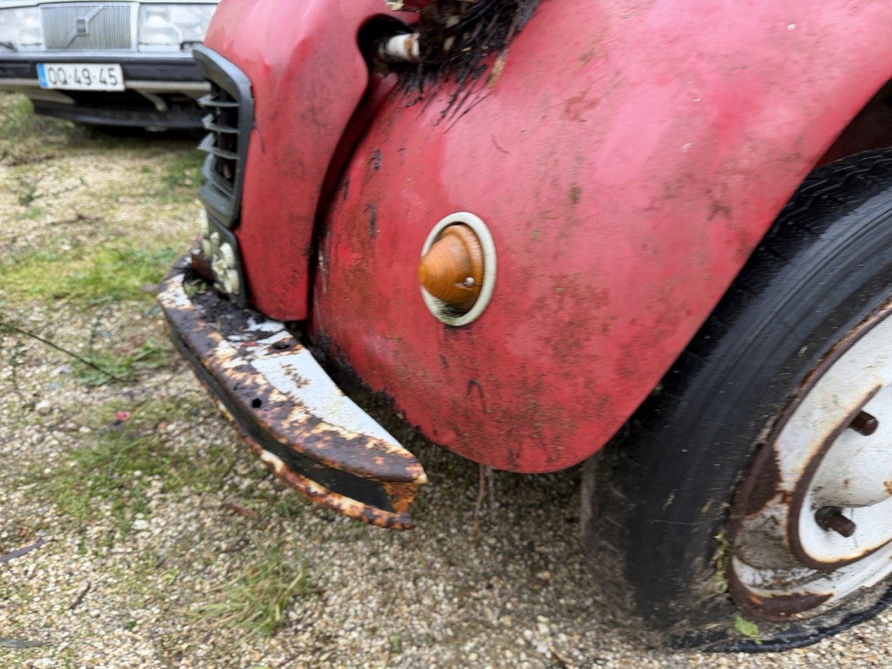 IMG_5492 – grande.jpeg