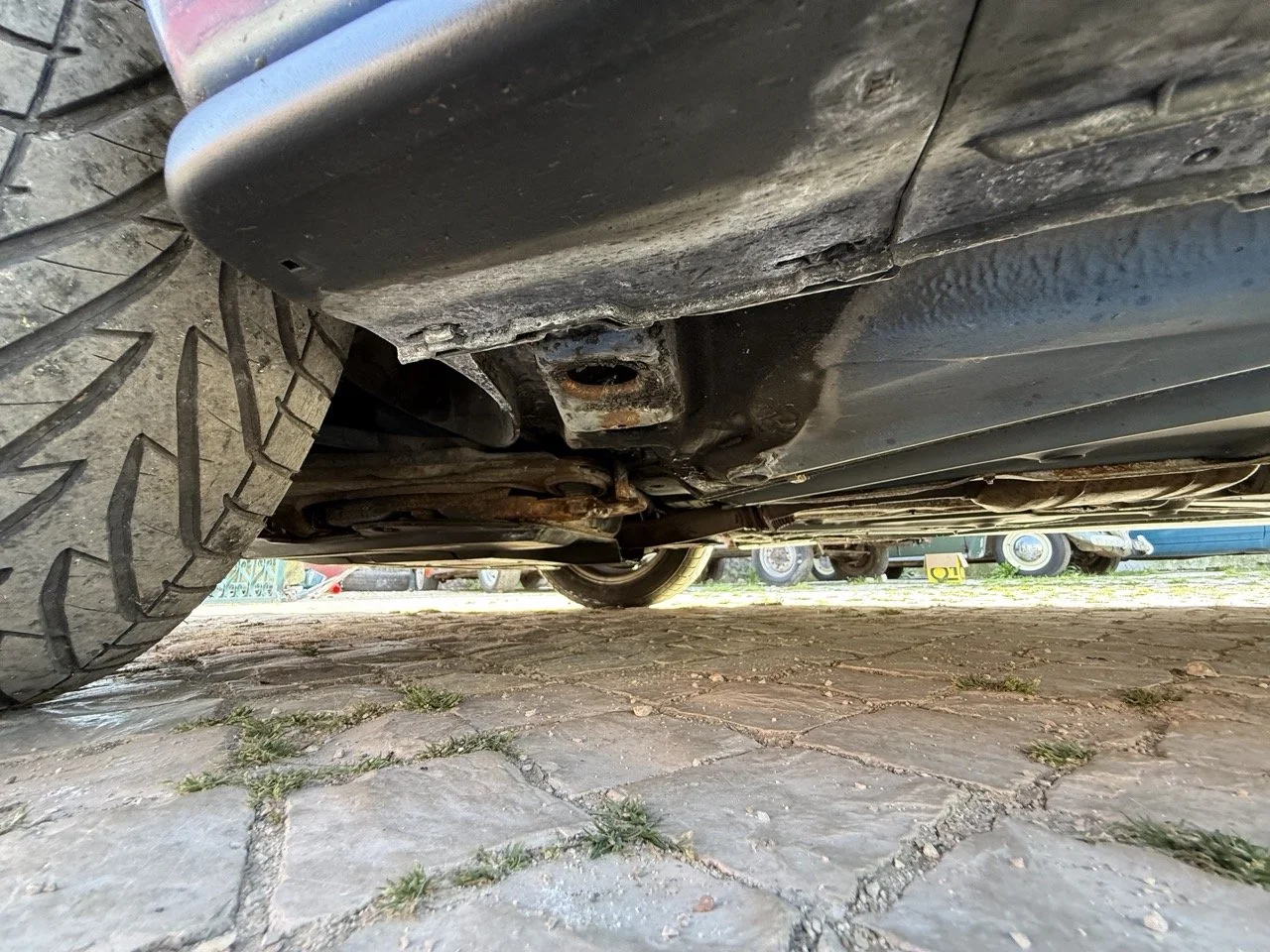 IMG_2497 – grande.jpeg