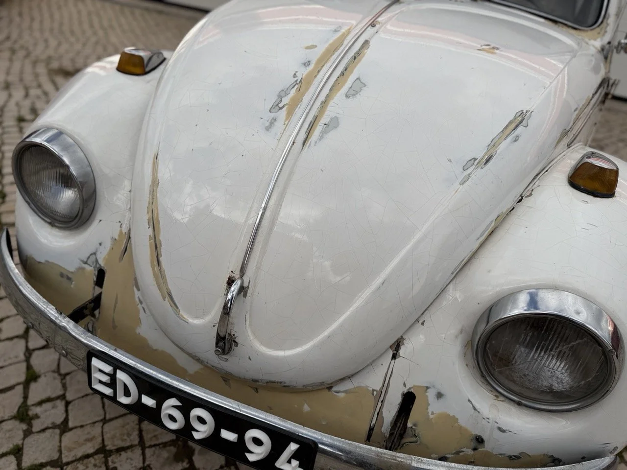 IMG_8660 – grande.jpeg