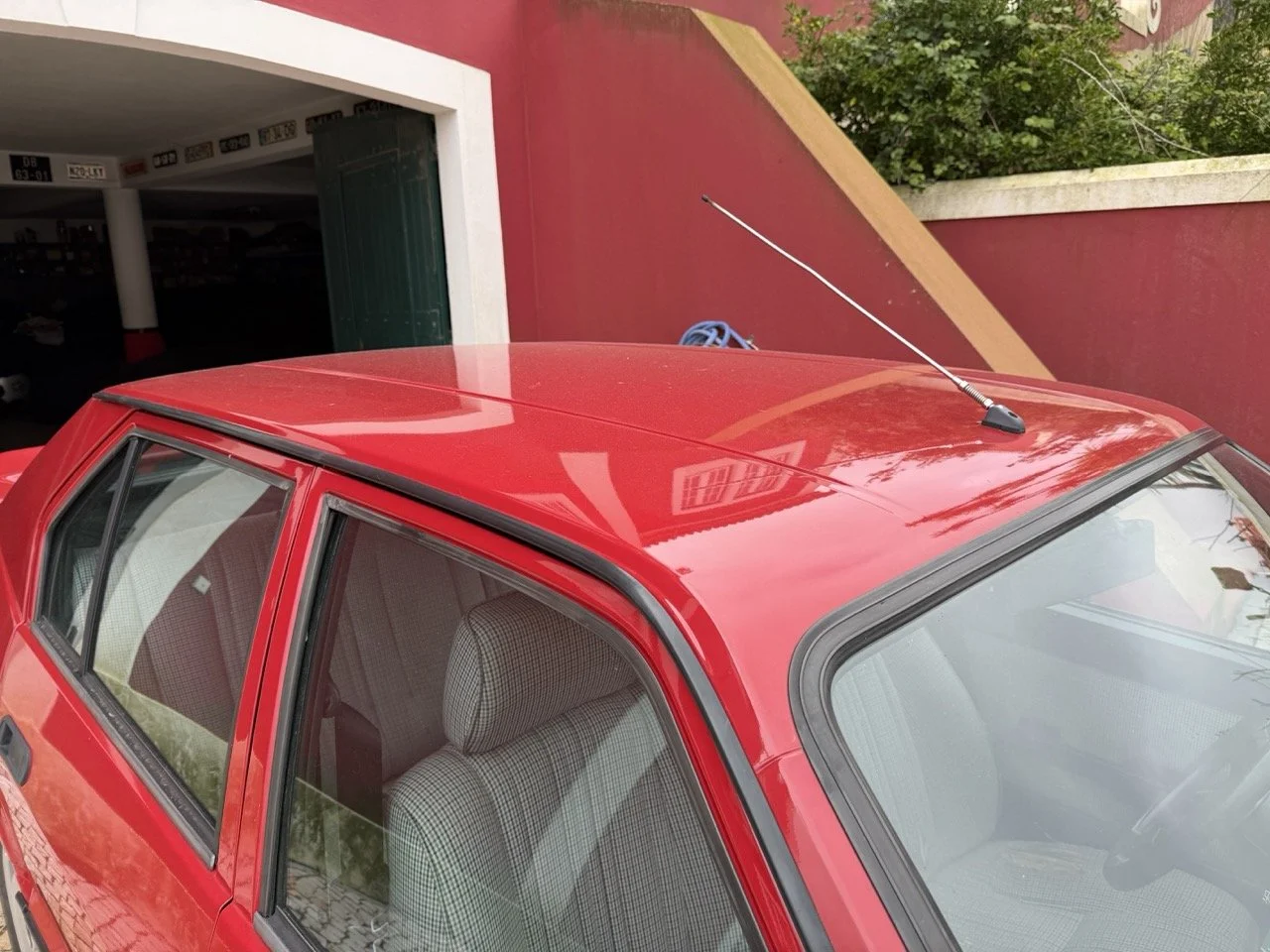 IMG_3505 – grande.jpeg