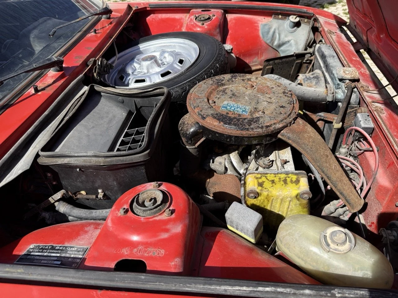 IMG_2287 – grande.jpeg