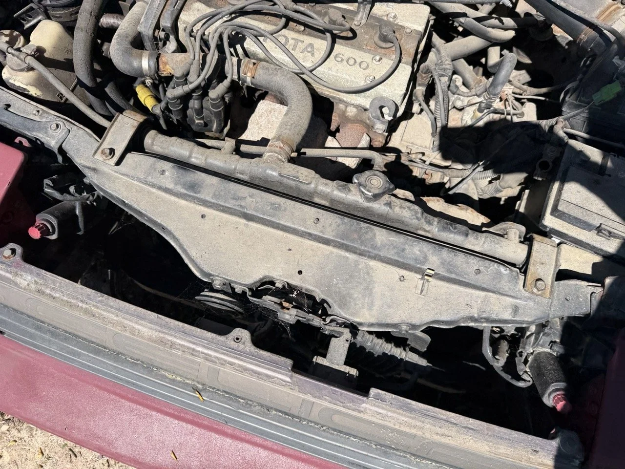 IMG_7624 – grande.jpeg