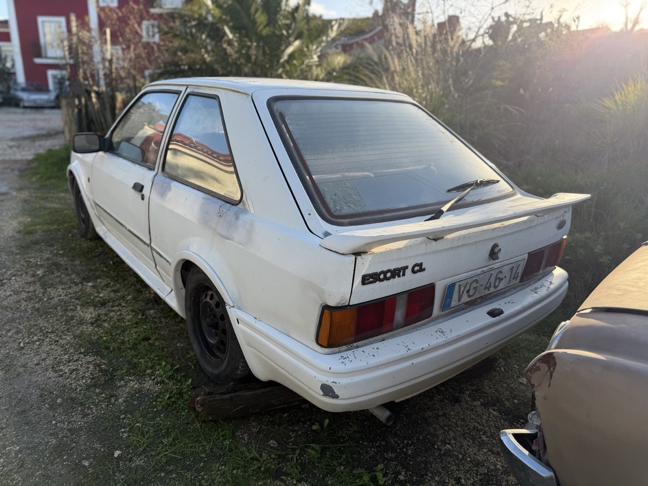 IMG_4091 – grande.jpeg