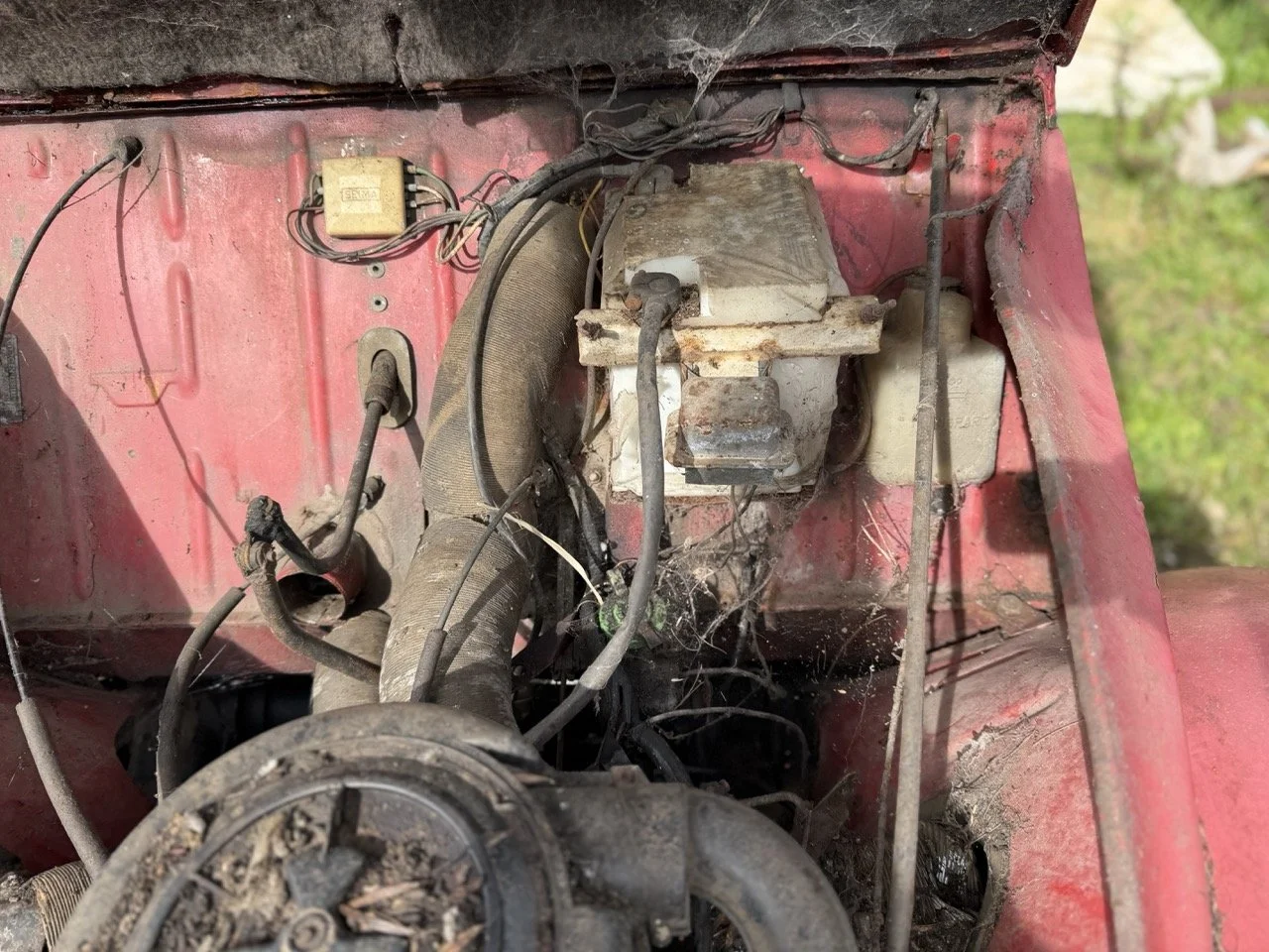 IMG_3861 – grande.jpeg