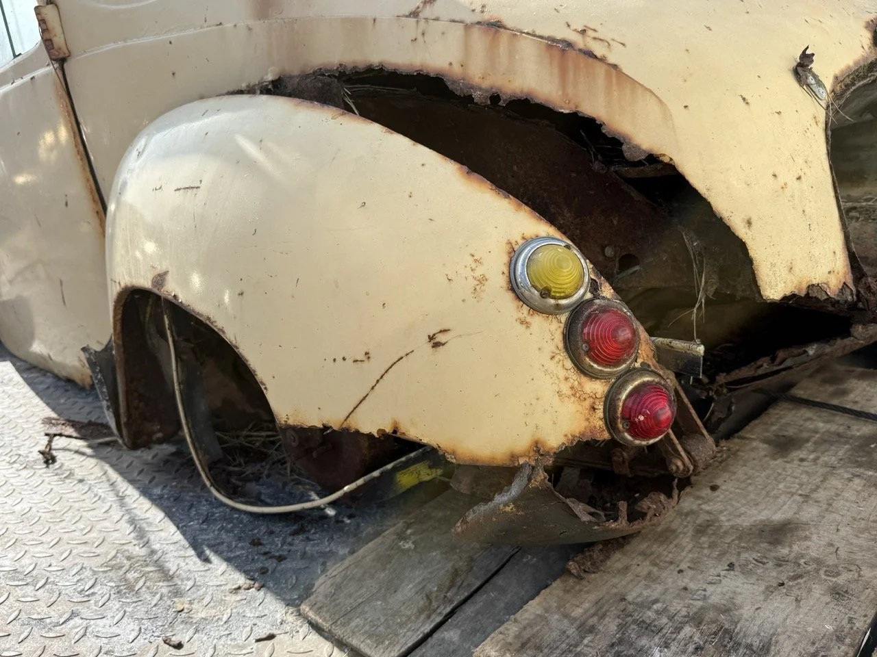 IMG_3185 – grande.jpeg