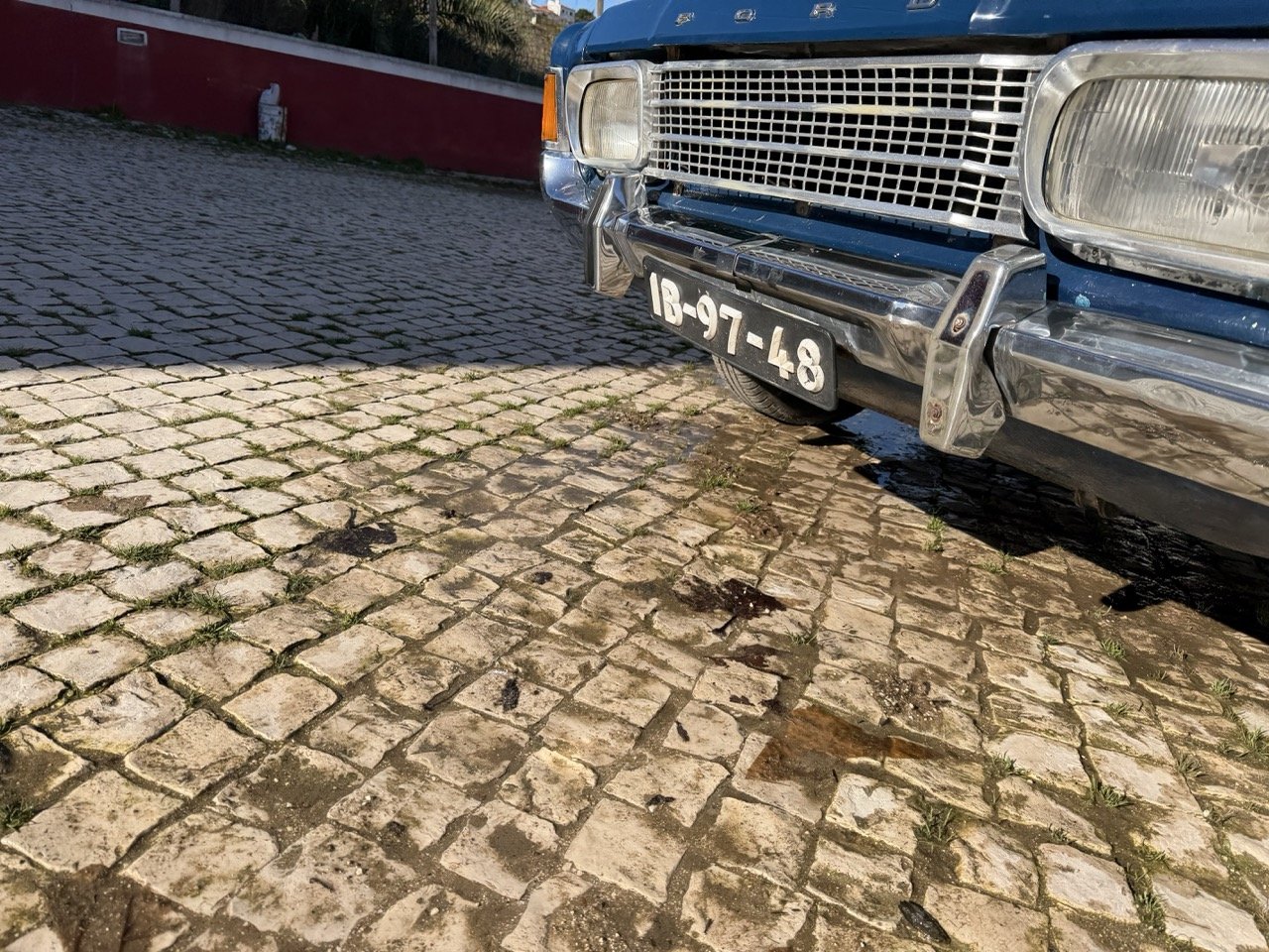 IMG_1867 – grande.jpeg