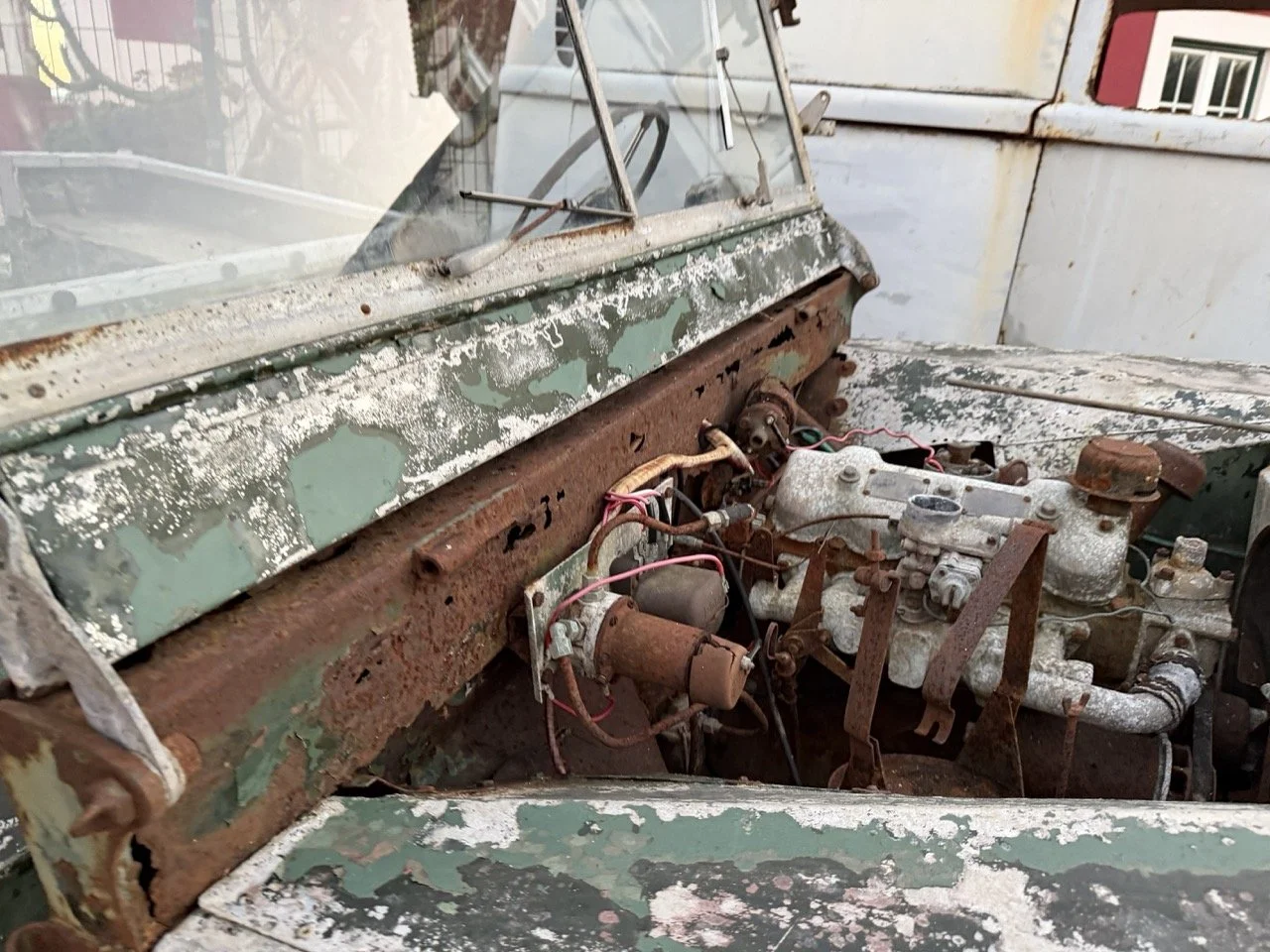 IMG_7439 – grande.jpeg