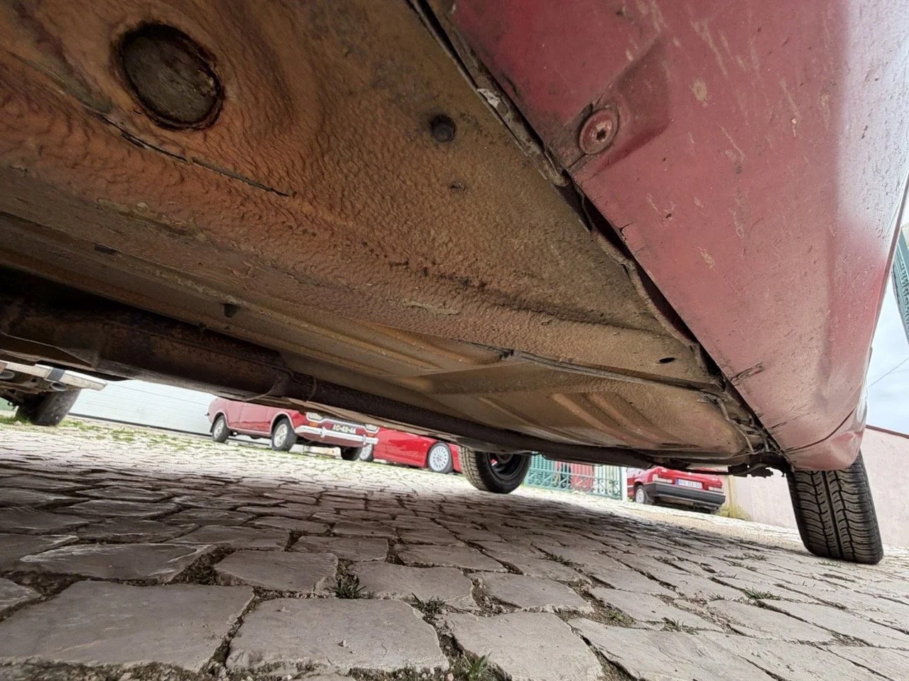 IMG_3650 – grande.jpeg