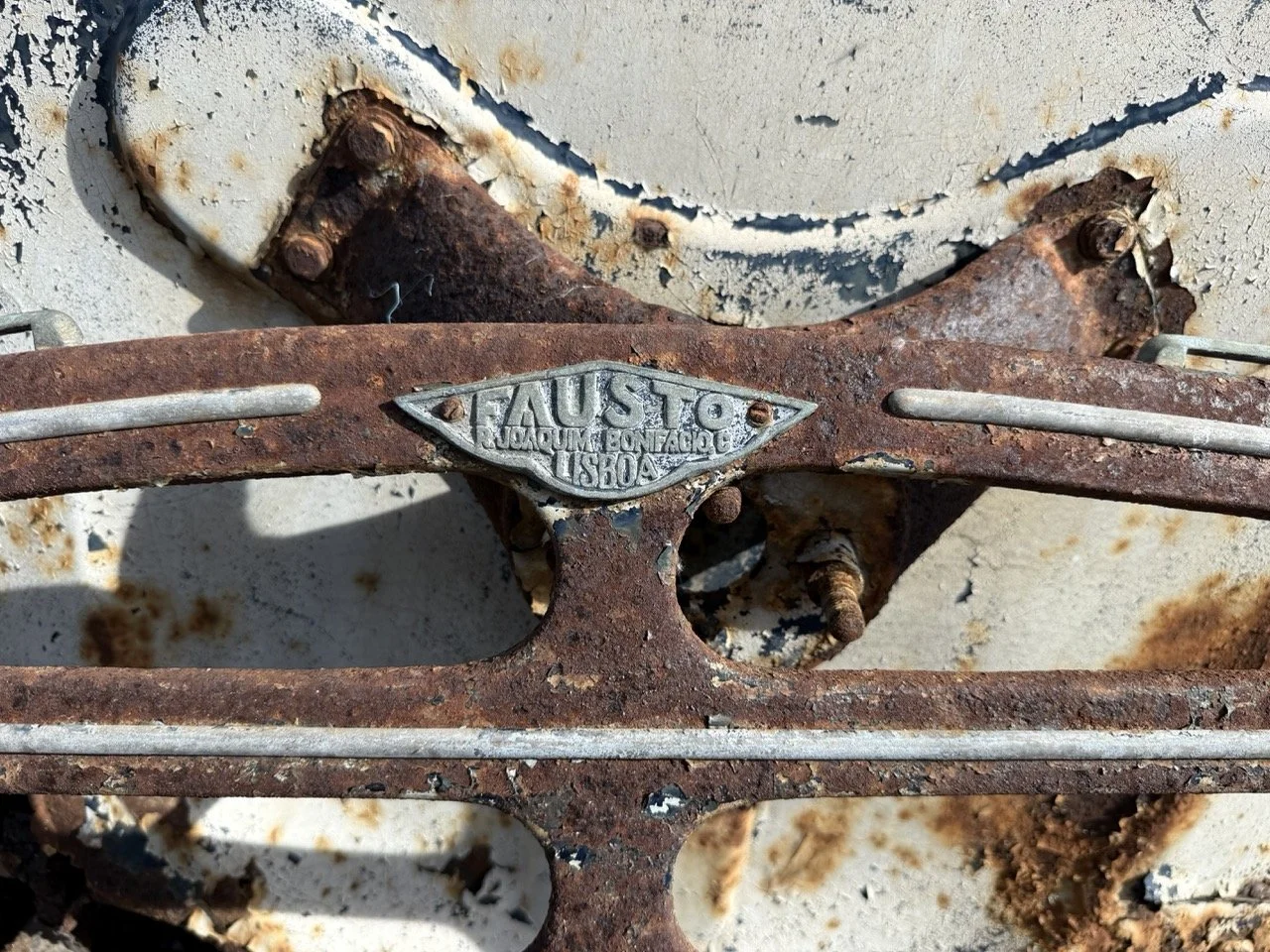 IMG_0365 – grande.jpeg