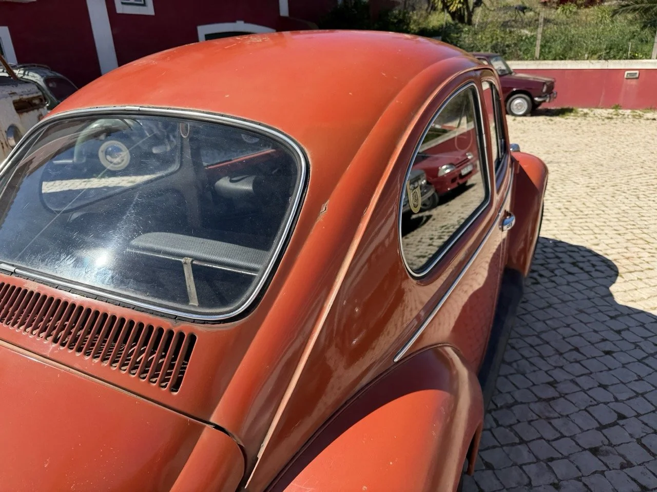 IMG_7585 – grande.jpeg