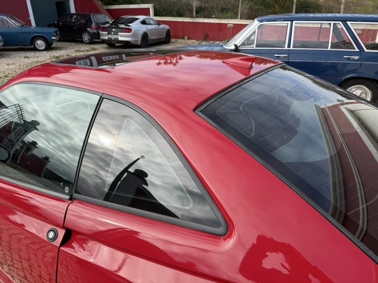 IMG_2302 – grande.jpeg