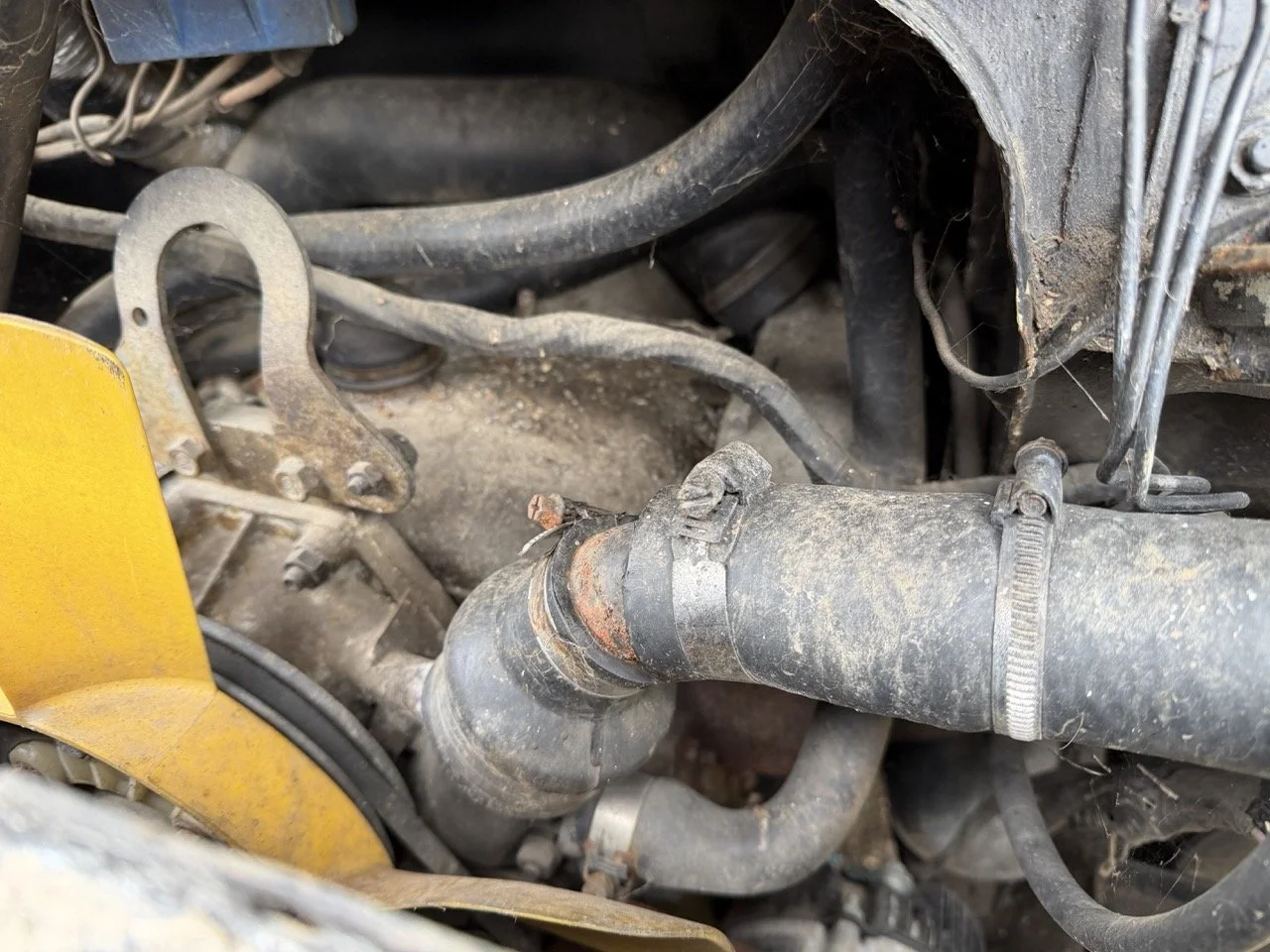 IMG_1360 – grande.jpeg