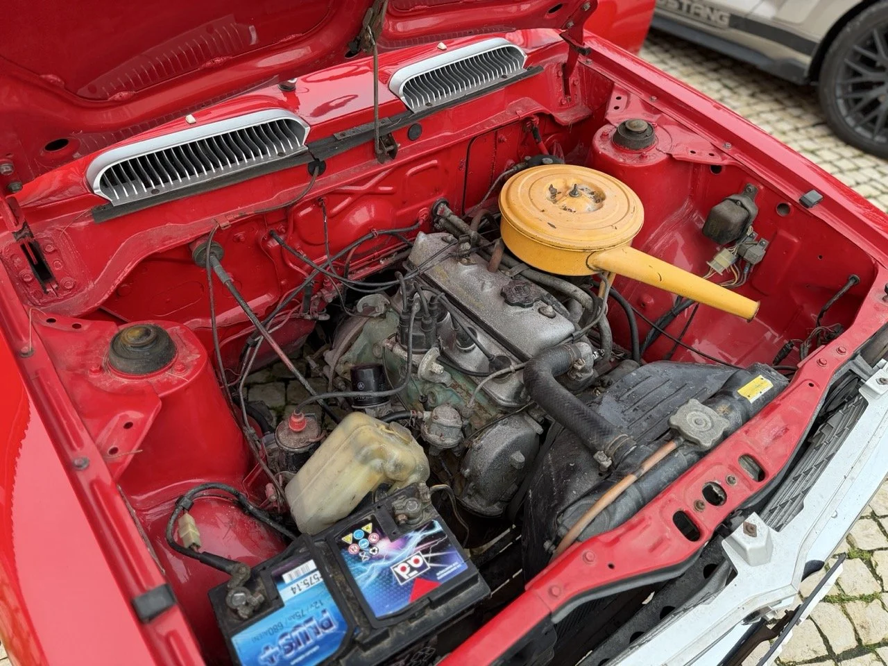 IMG_8254 – grande.jpeg