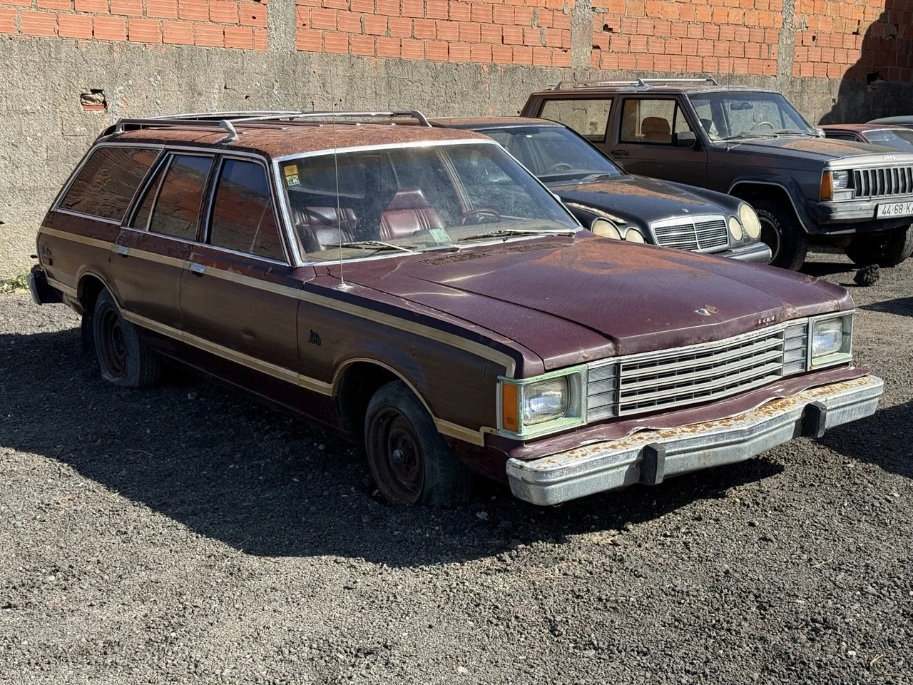 IMG_3001 – grande.jpeg