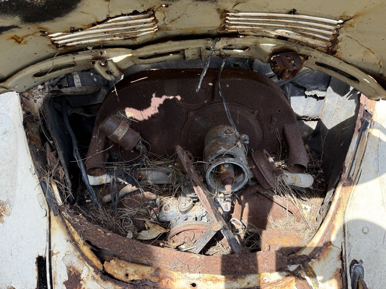 IMG_0641 – grande.jpeg