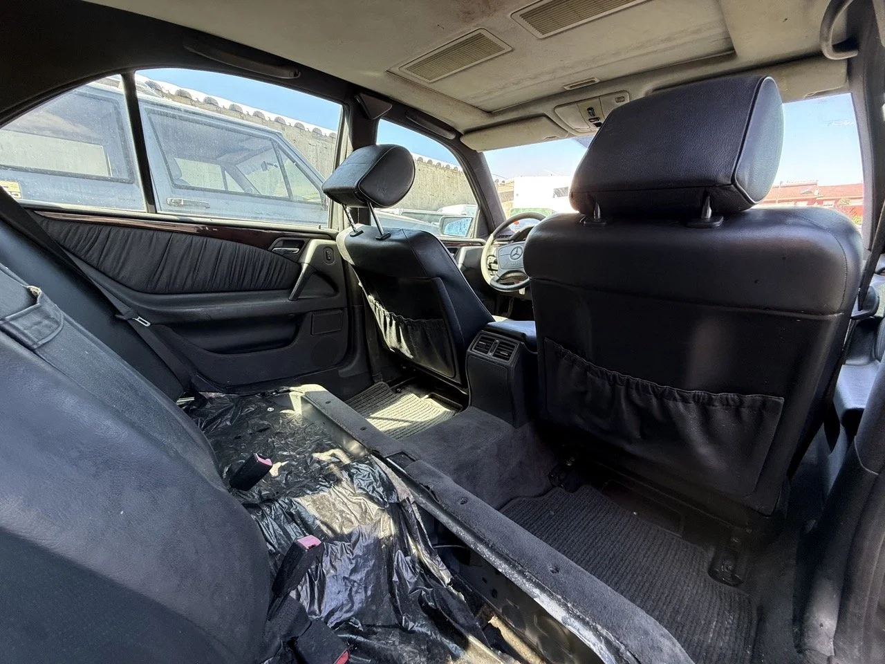 IMG_1774 – grande.jpeg