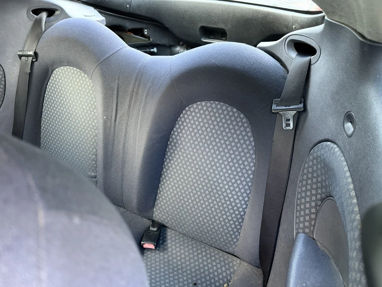 IMG_5308 – grande.jpeg