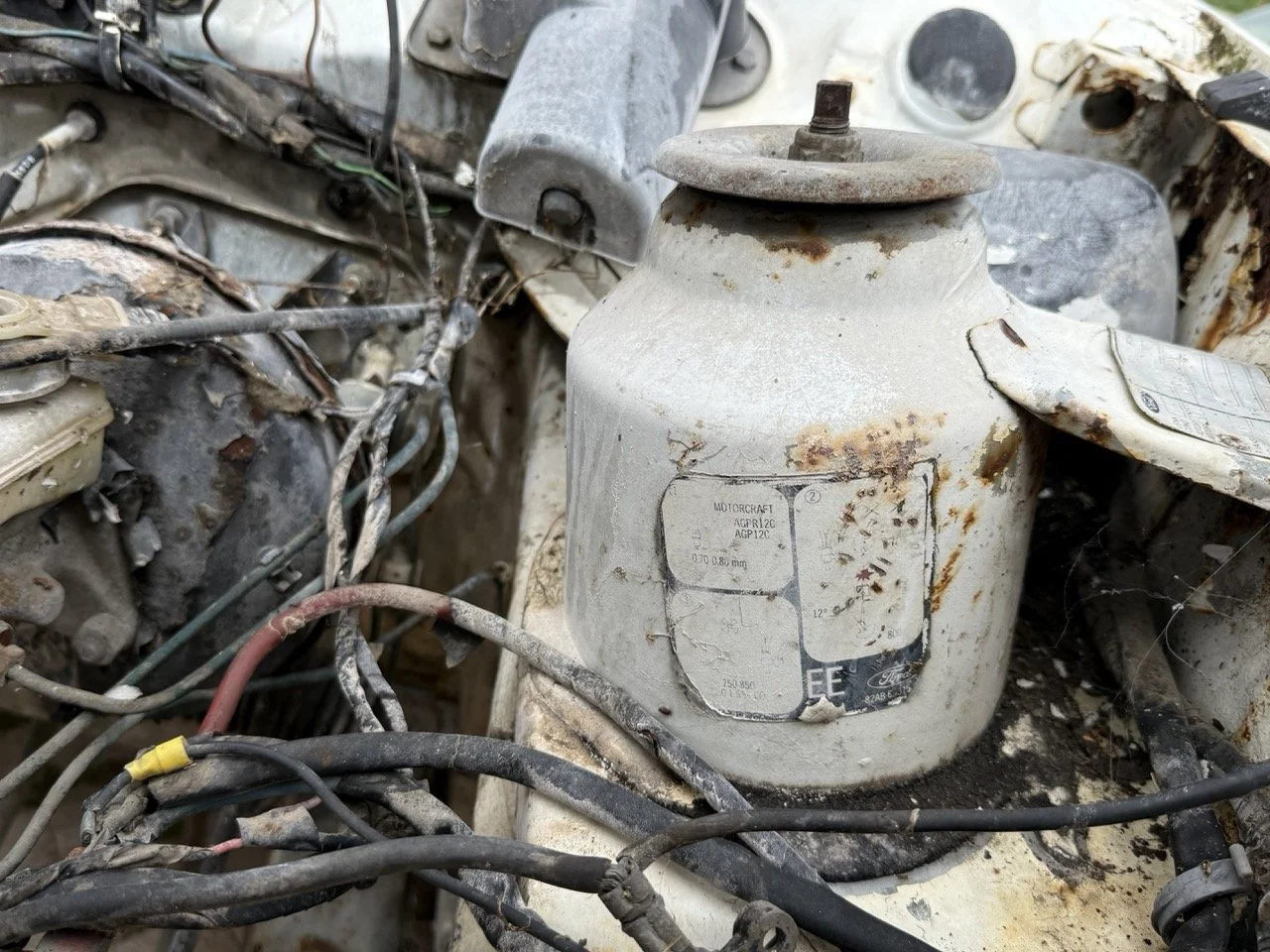 IMG_8563 – grande.jpeg