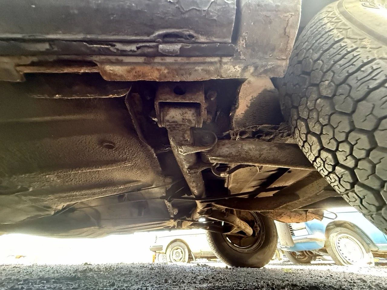 IMG_0620 – grande.jpeg