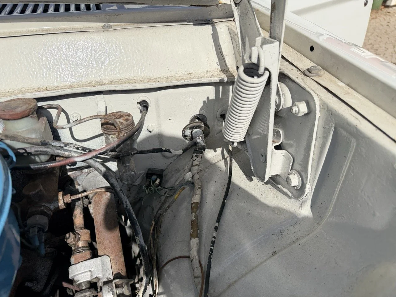 IMG_8621 2 – grande.jpeg