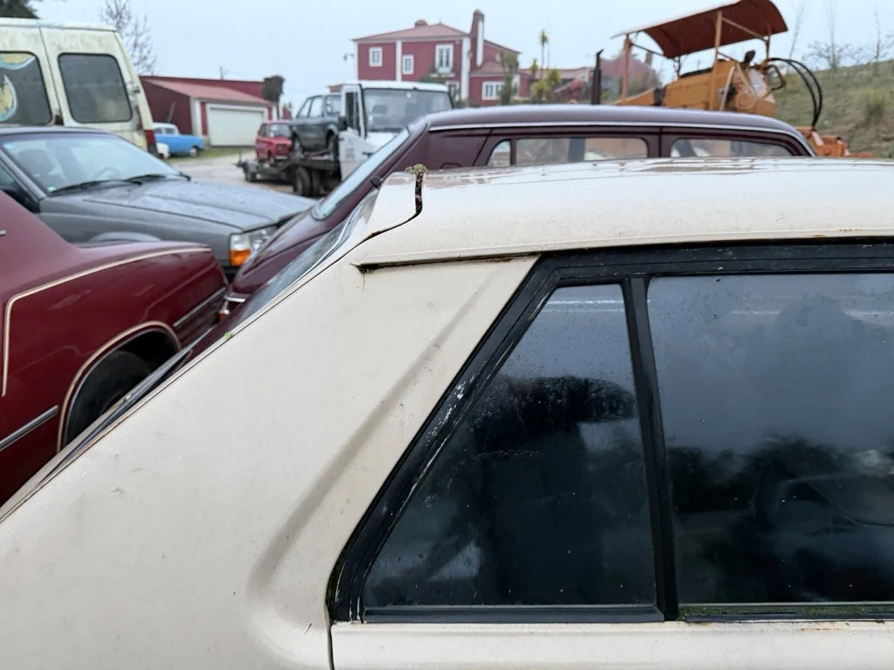 IMG_0213 – grande.jpeg