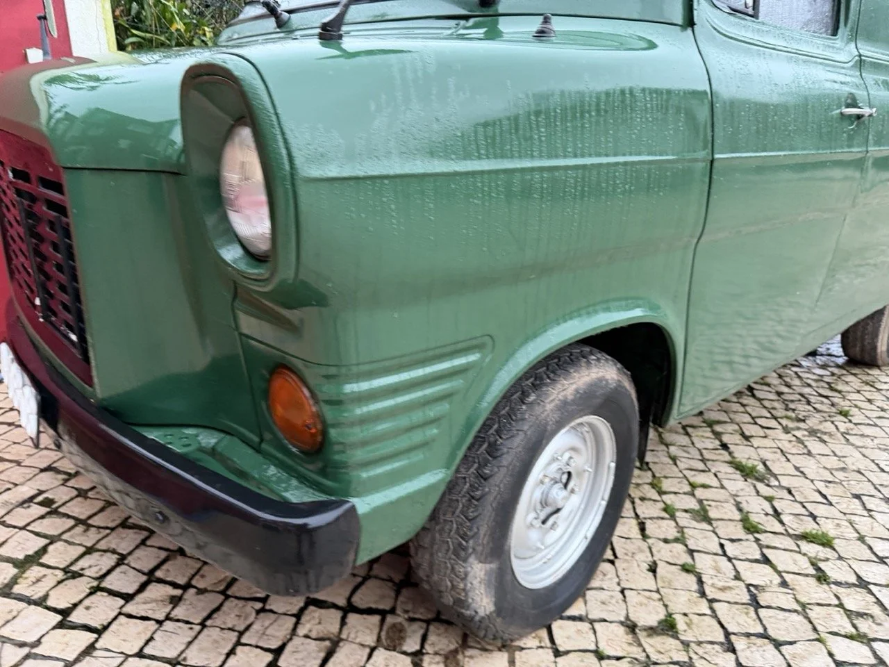 IMG_9970 – grande.jpeg