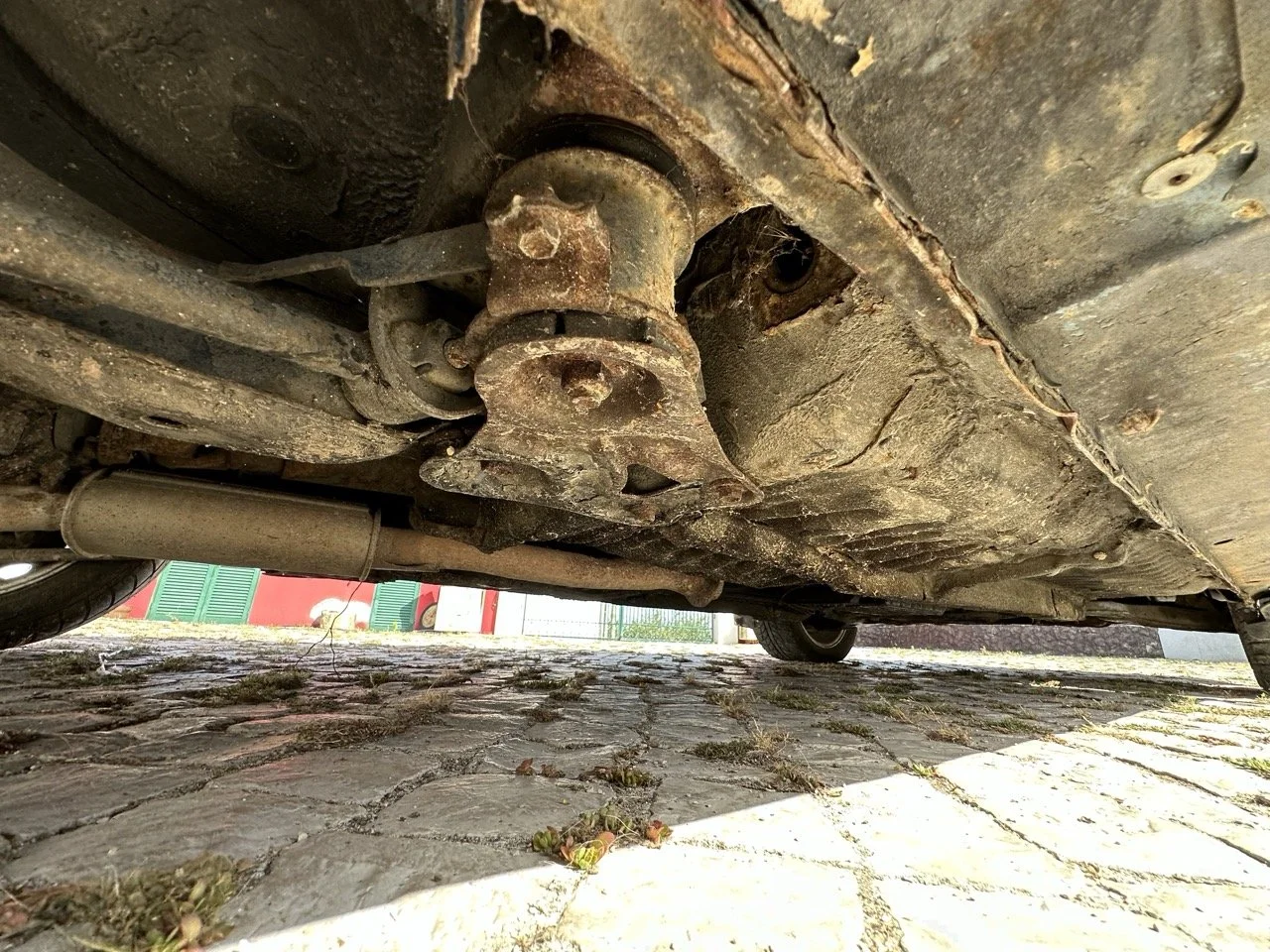 IMG_7253 – grande.jpeg