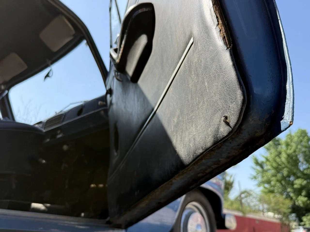 IMG_3561 – grande.jpeg