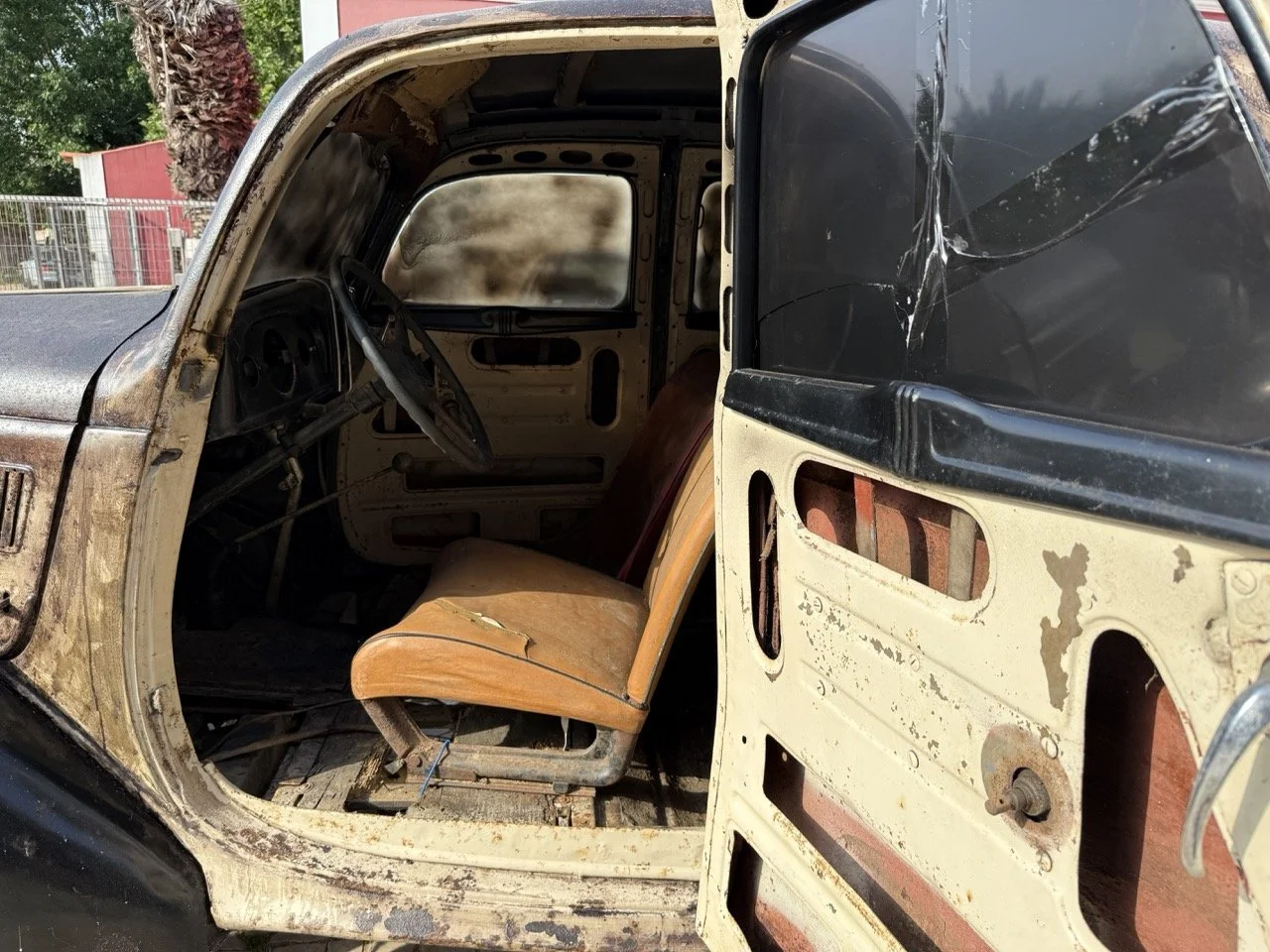 IMG_3687 – grande.jpeg