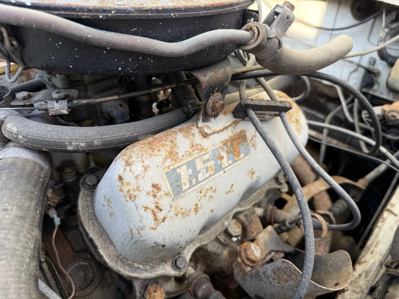 IMG_5129 – grande.jpeg