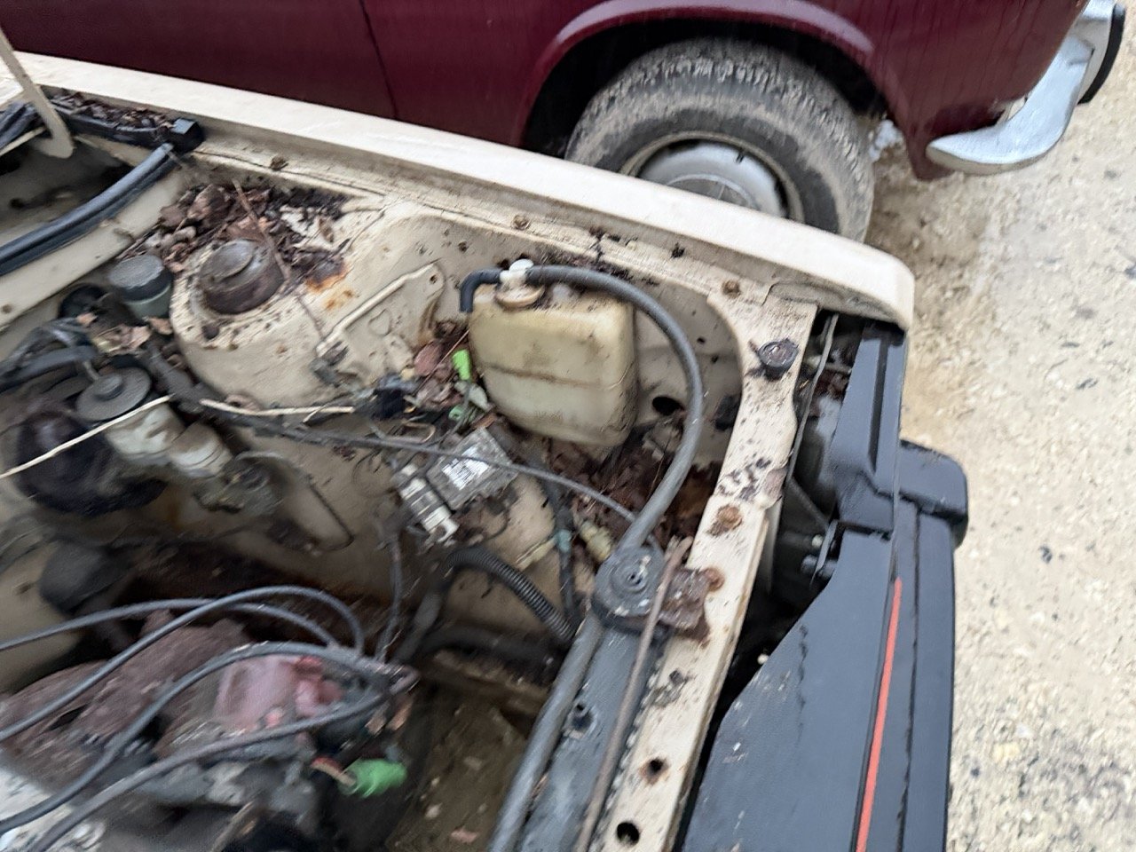 IMG_0250 – grande.jpeg