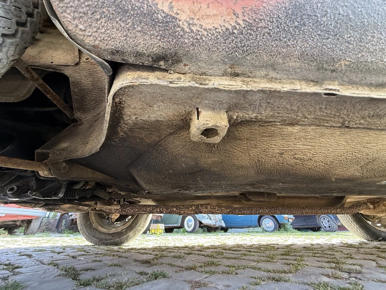 IMG_2358 – grande.jpeg