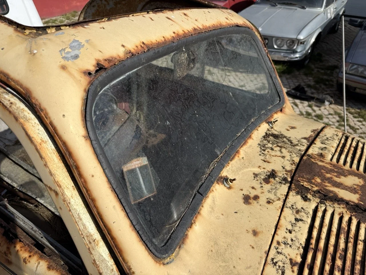 IMG_3175 – grande.jpeg