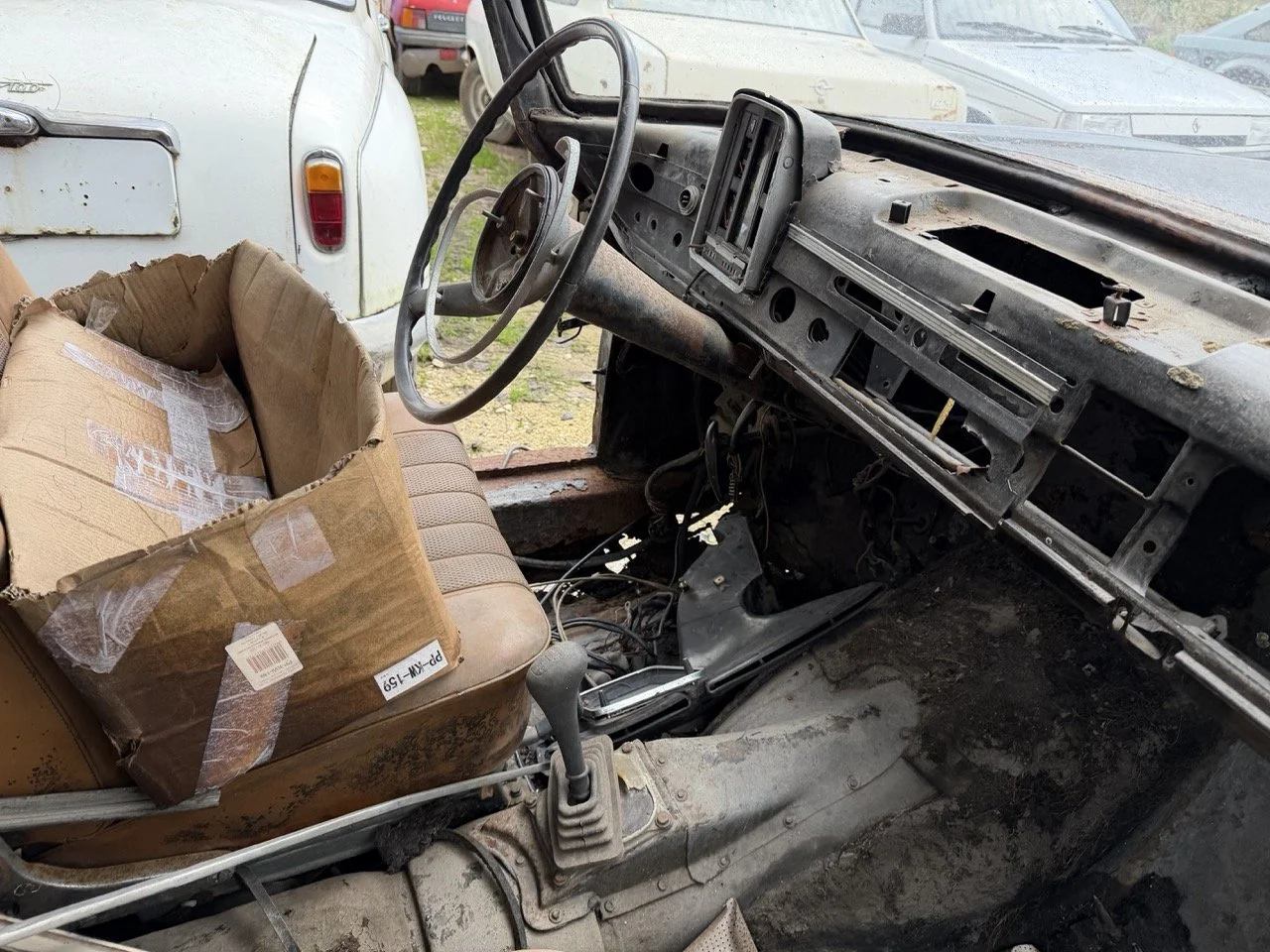 IMG_1924 – grande.jpeg