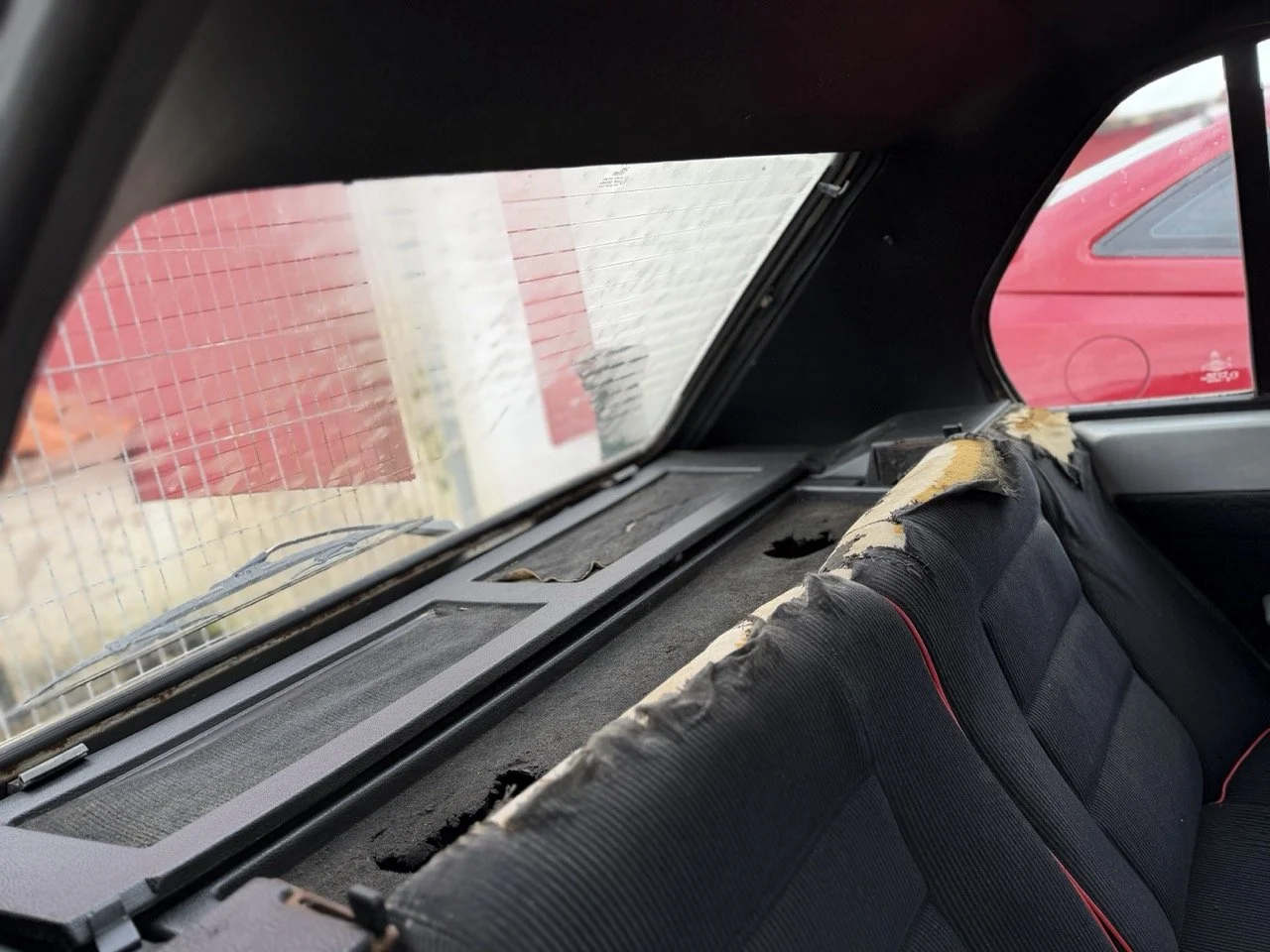 IMG_0516 – grande.jpeg